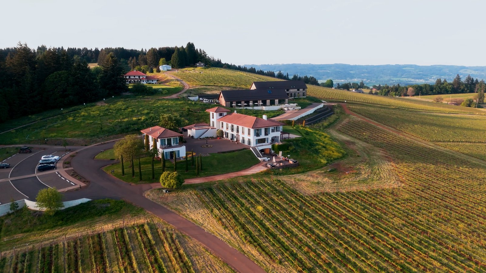 Black Walnut Inn & Vineyard
