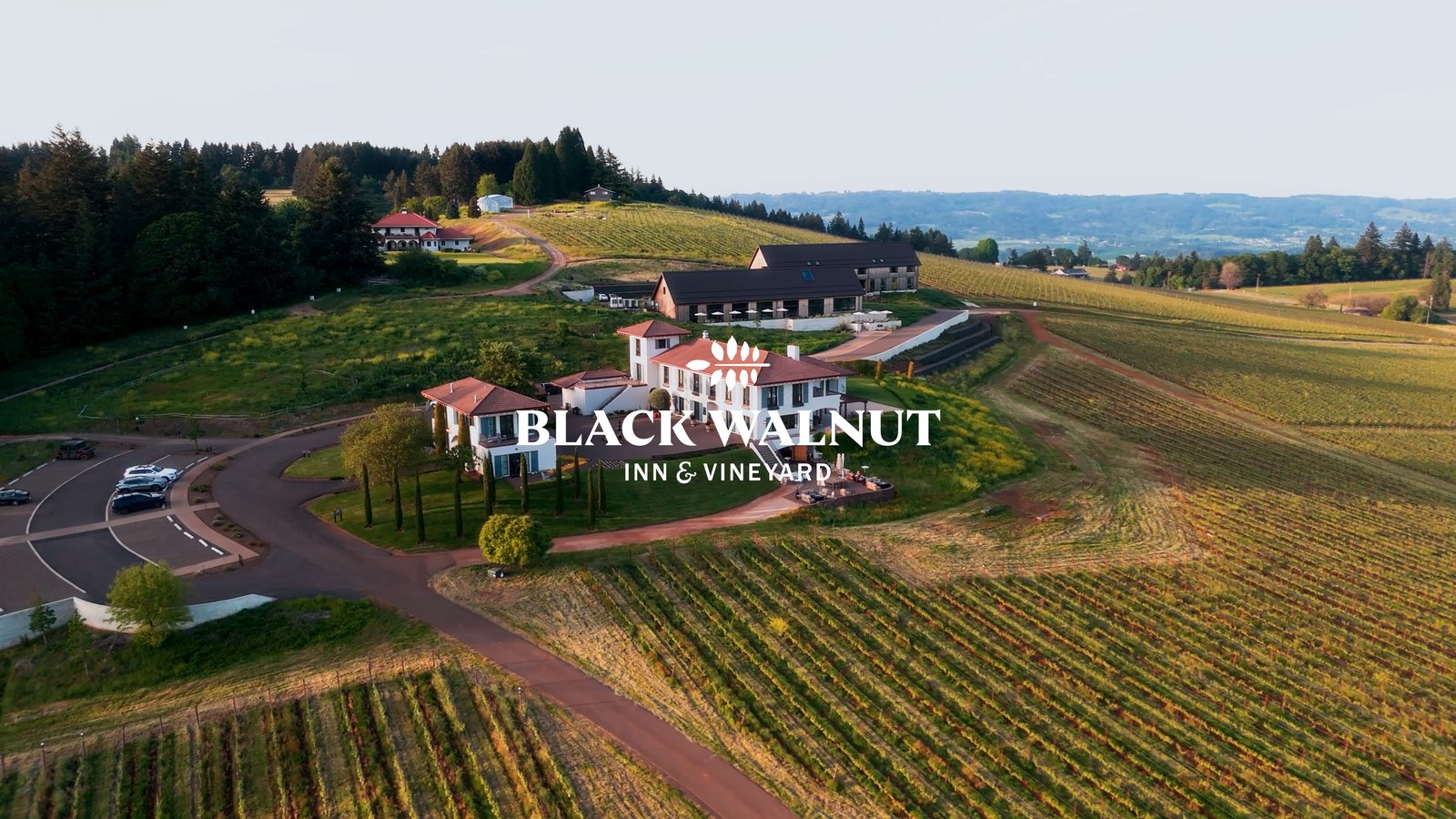 Black Walnut Inn & Vineyard